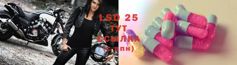 Лсд 25 экстази ecstasy  наркотики  Грайворон 